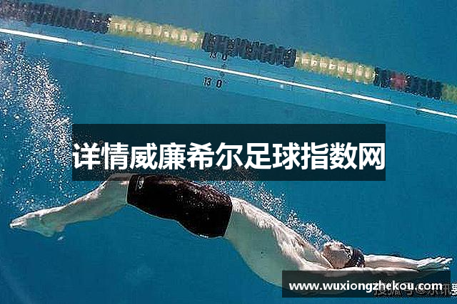 详情威廉希尔足球指数网